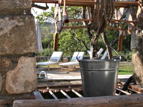 Imagen 2 de 55