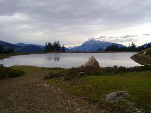 Imagen 3 de 35