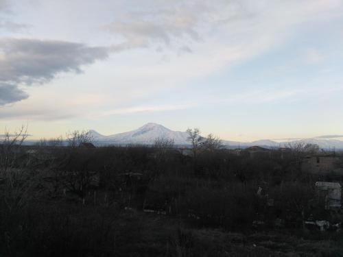 Imagen 2 de 48
