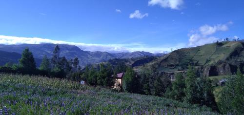 Imagen 4 de 9
