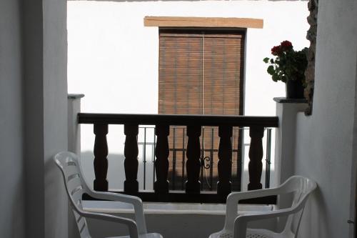 Imagen 3 de 14