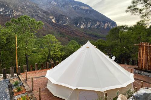 Imagen 4 de 11