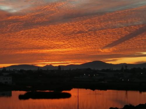 Imagen 5 de 28