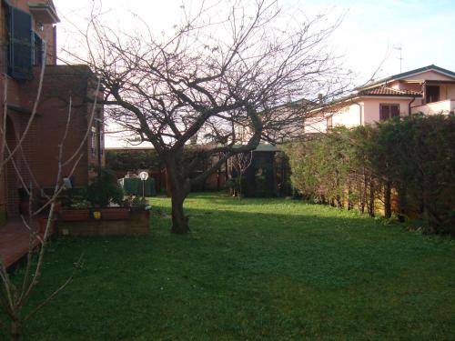 Imagen 2 de 16