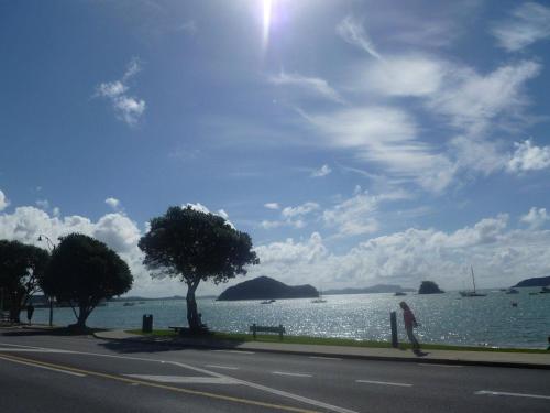 Imagen 2 de 8
