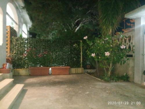 Imagen 2 de 6