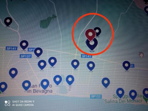 Imagen 1 de 6