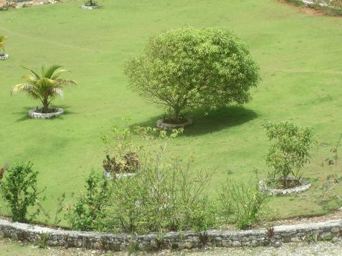 Imagen 4 de 7