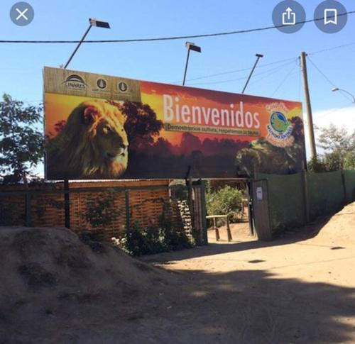 Imagen 1 de 34