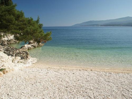 Imagen 1 de 77