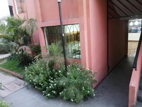 Imagen 2 de 11