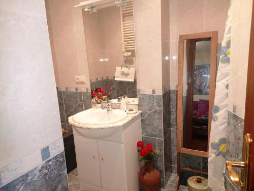 Imagen 3 de 5