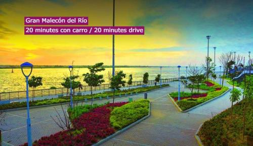 Imagen 5 de 22