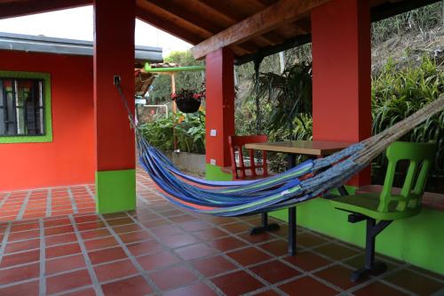 Imagen 4 de 24