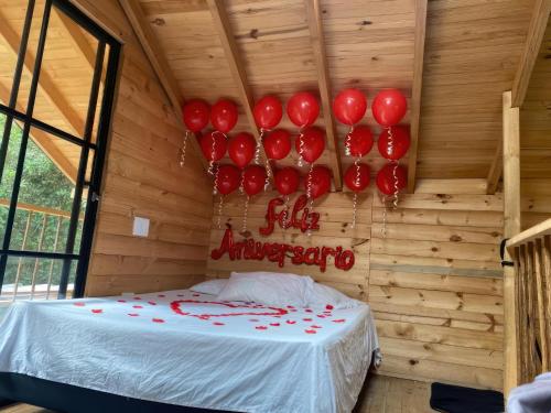 Imagen 4 de 25