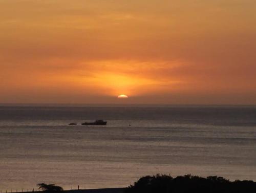 Imagen 3 de 24