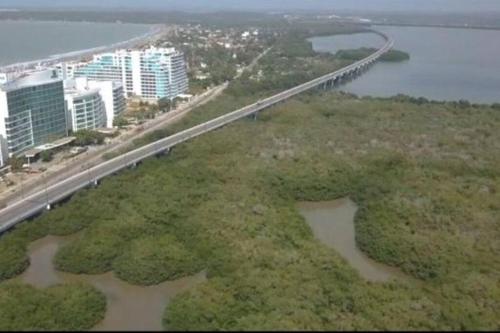 Imagen 4 de 35