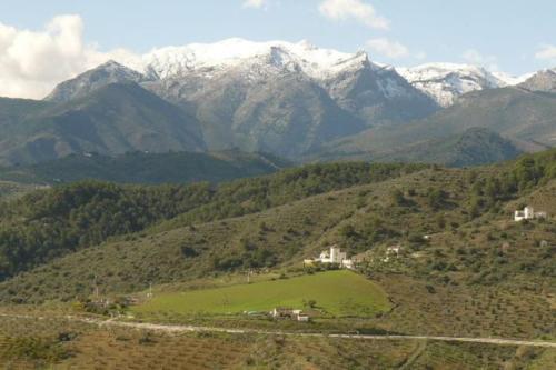 Imagen 5 de 34