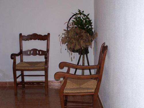 Imagen 2 de 15