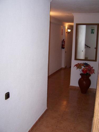 Imagen 5 de 15