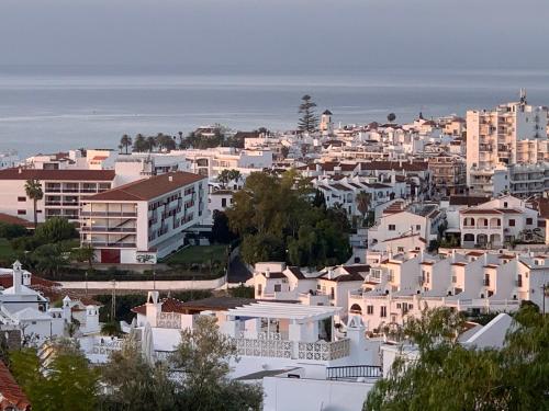 Imagen 2 de 29
