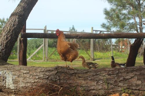 Imagen 2 de 30