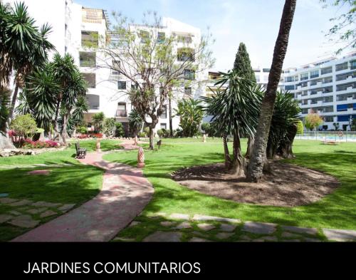 Imagen 1 de 35