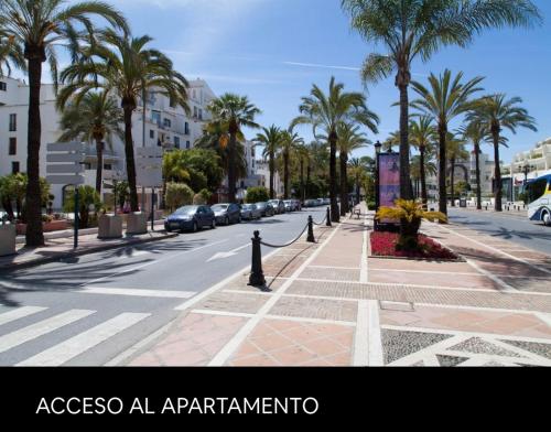 Imagen 3 de 35