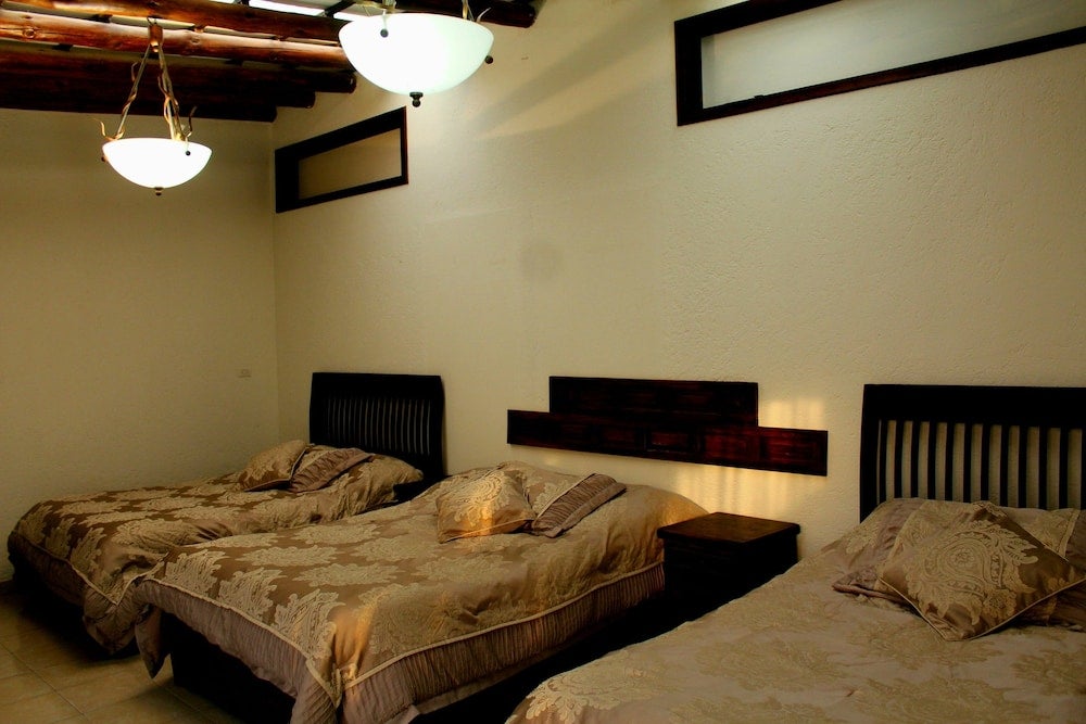 Imagen 4 de 20