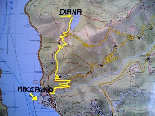 Imagen 2 de 83