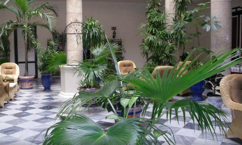 Imagen 4 de 5
