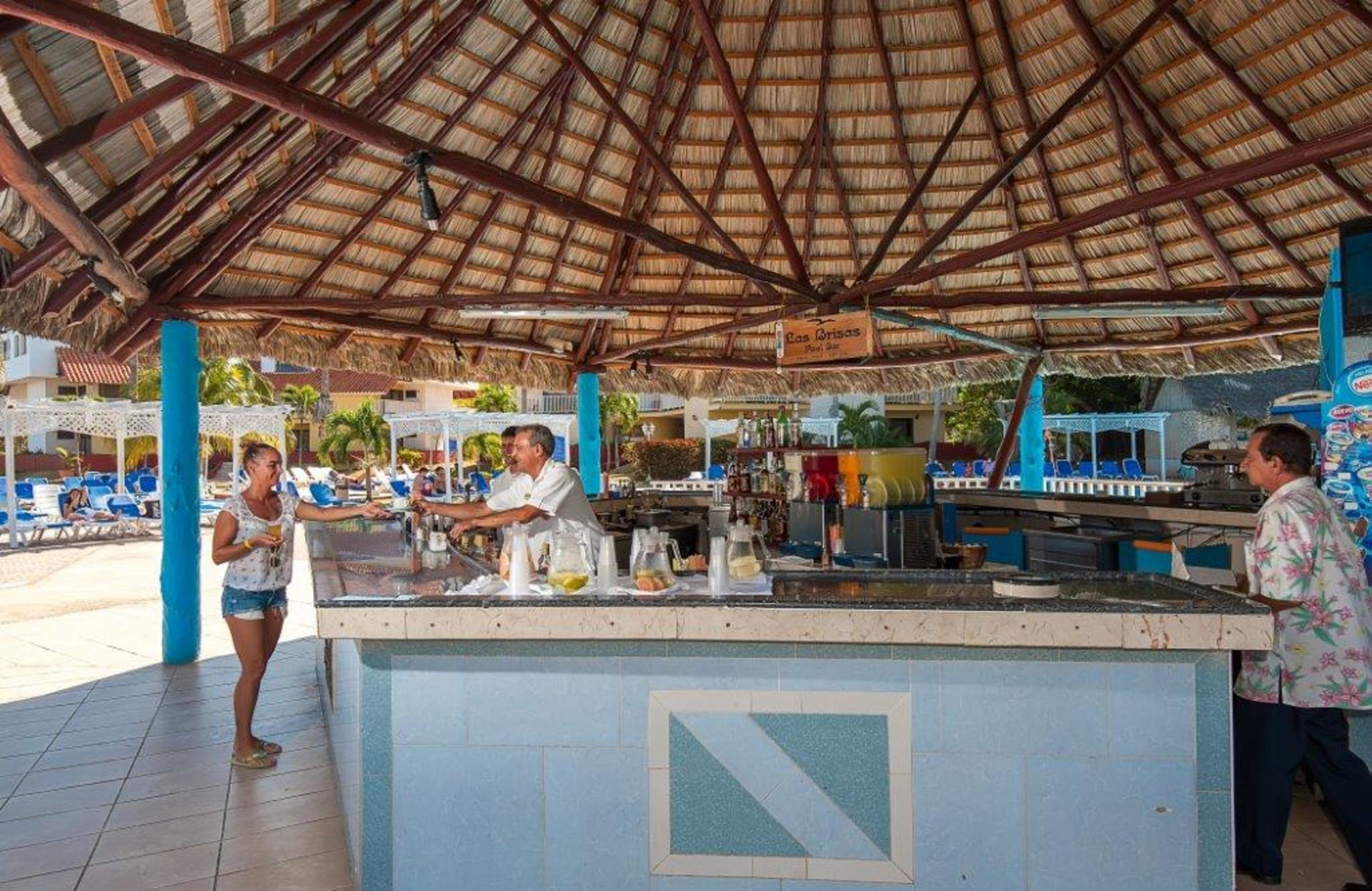 Imagen 1 de 65