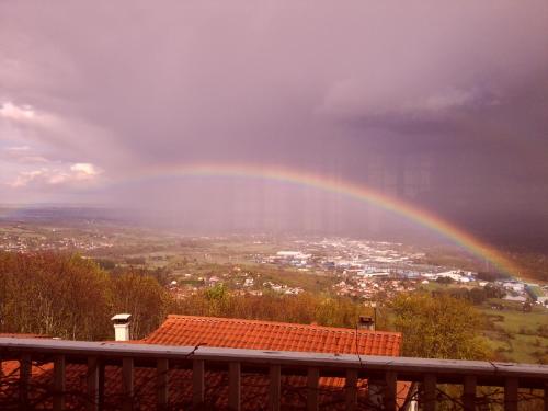 Imagen 5 de 31