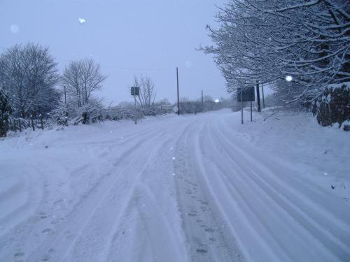 Imagen 3 de 11