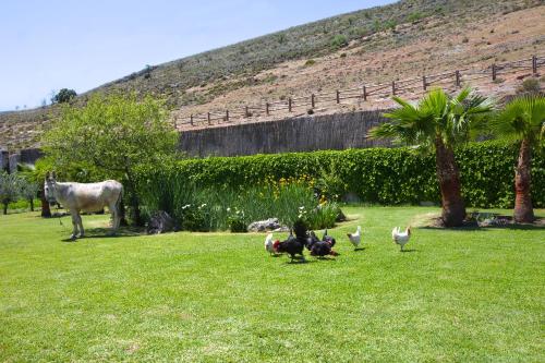 Imagen 3 de 24