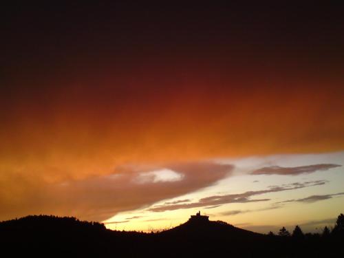 Imagen 2 de 25