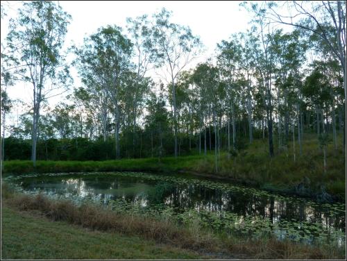 Imagen 1 de 24