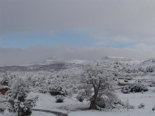 Imagen 4 de 37