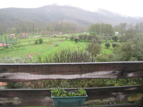 Imagen 3 de 39