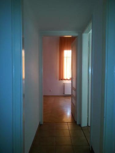 Imagen 3 de 11