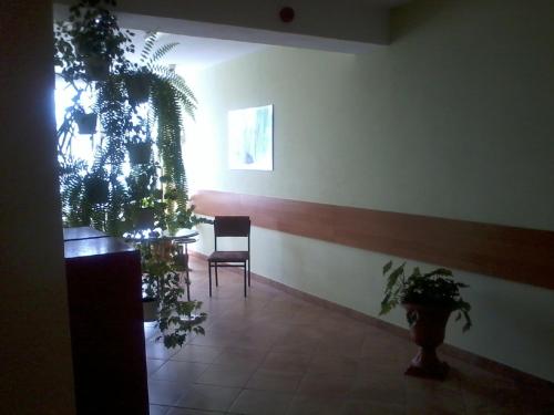Imagen 2 de 42