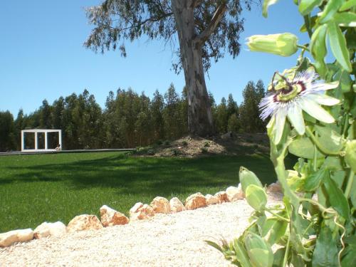 Imagen 2 de 118