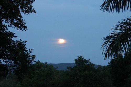 Imagen 5 de 59