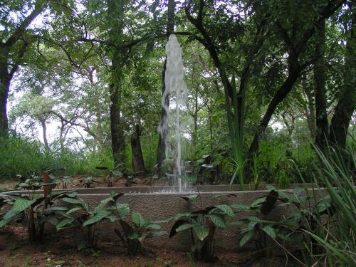 Imagen 4 de 69