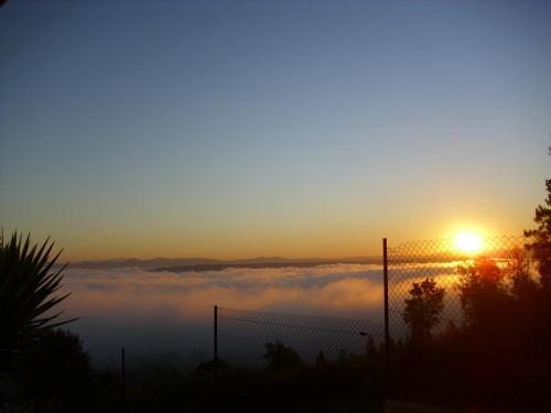 Imagen 5 de 52