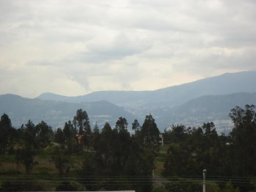 Imagen 4 de 25