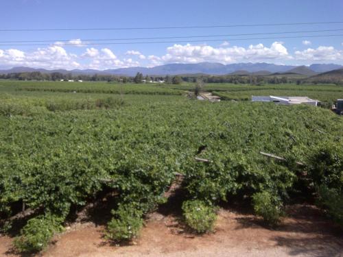 Imagen 3 de 43