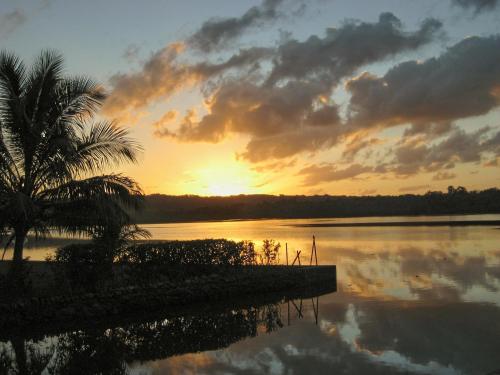 Imagen 3 de 54