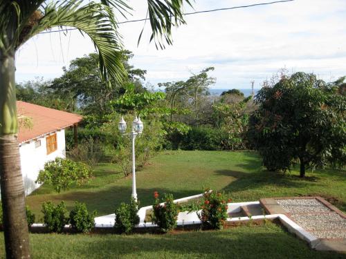 Imagen 4 de 24