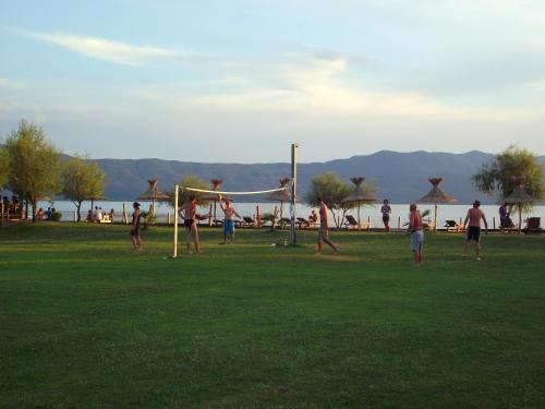 Imagen 2 de 46